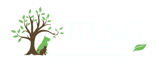 King Veterinary Clinic